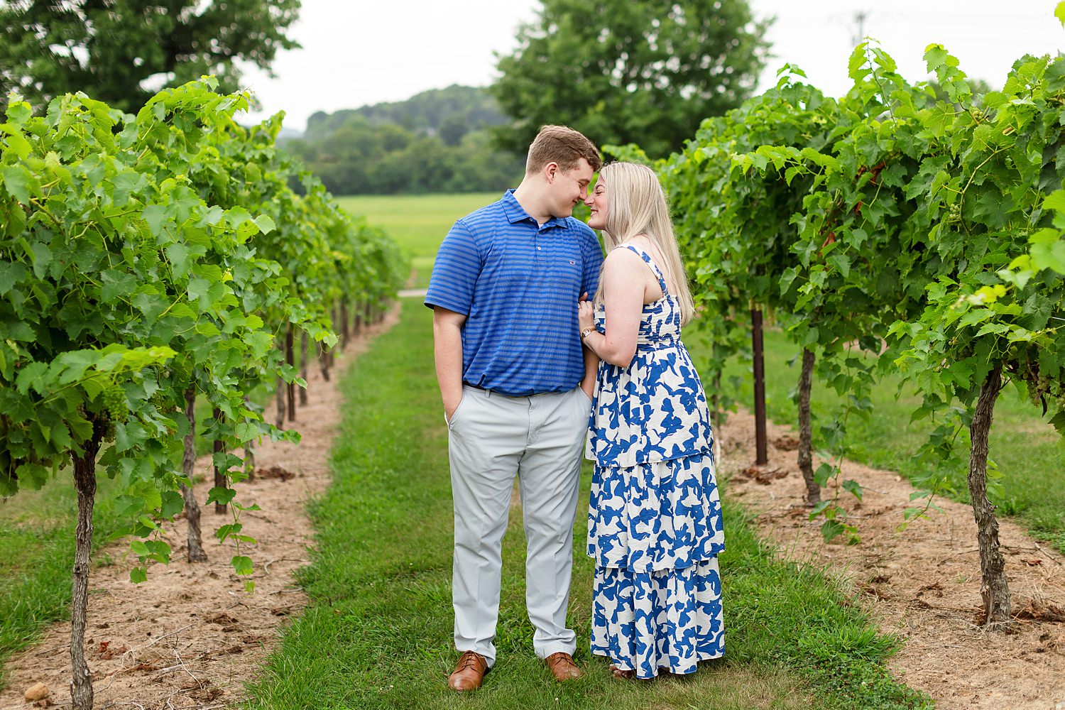 Arrington Vineyards Proposal