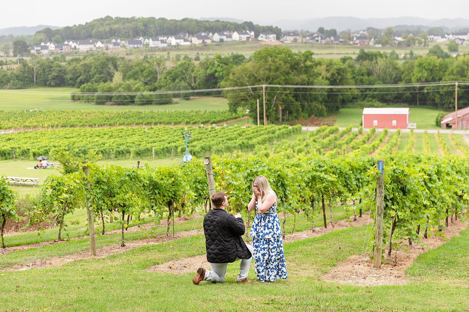 Arrington Vineyards Proposal