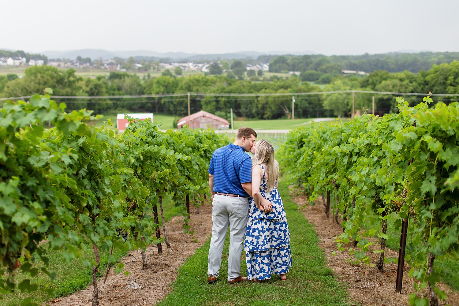 Arrington Vineyards Proposal