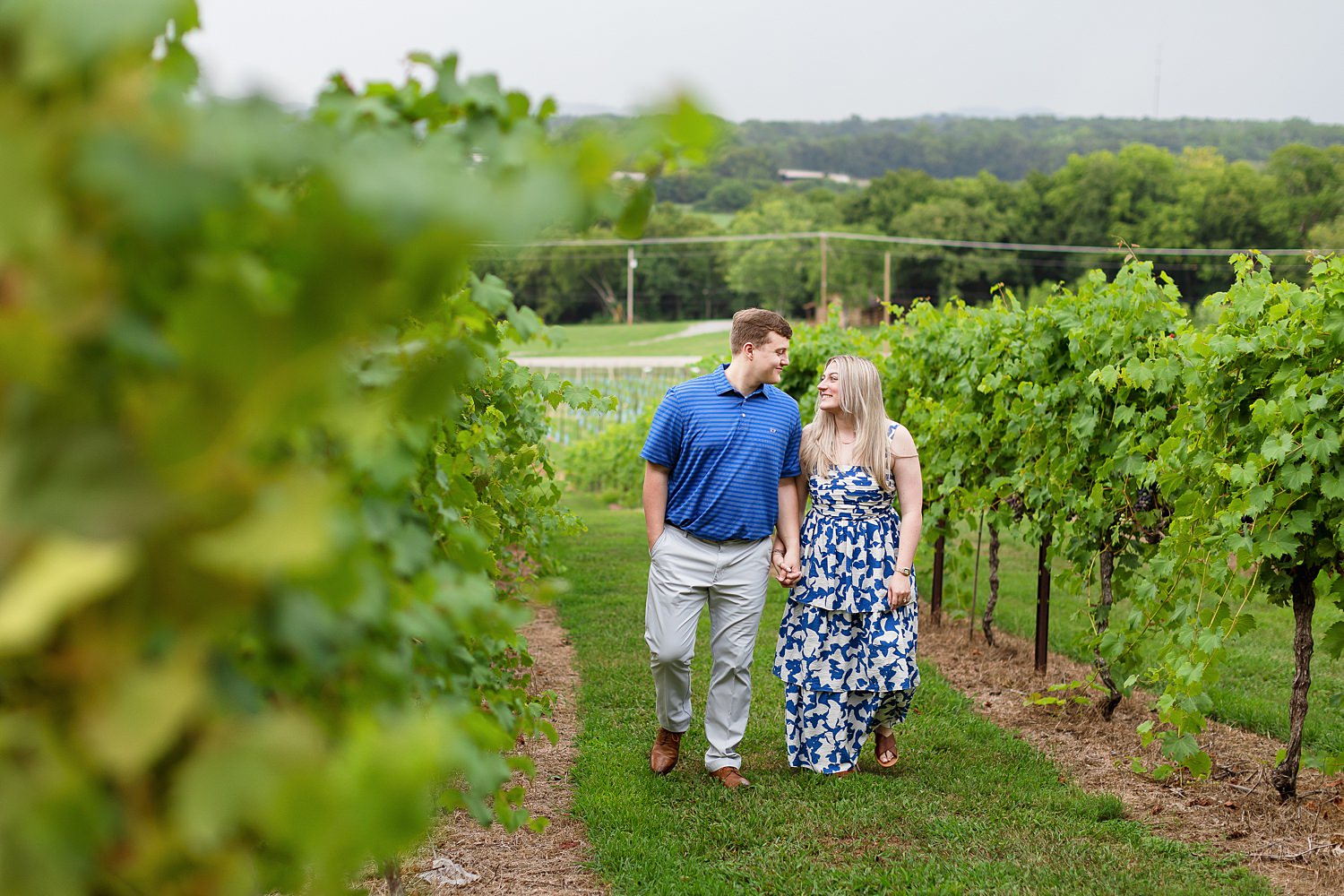 Arrington Vineyards Proposal