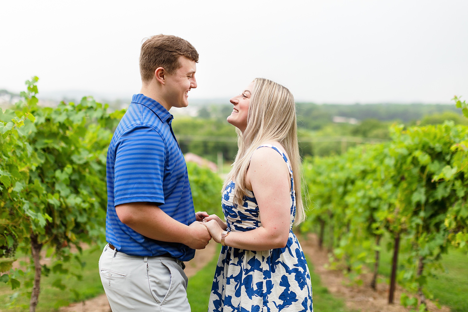 Arrington Vineyards Proposal