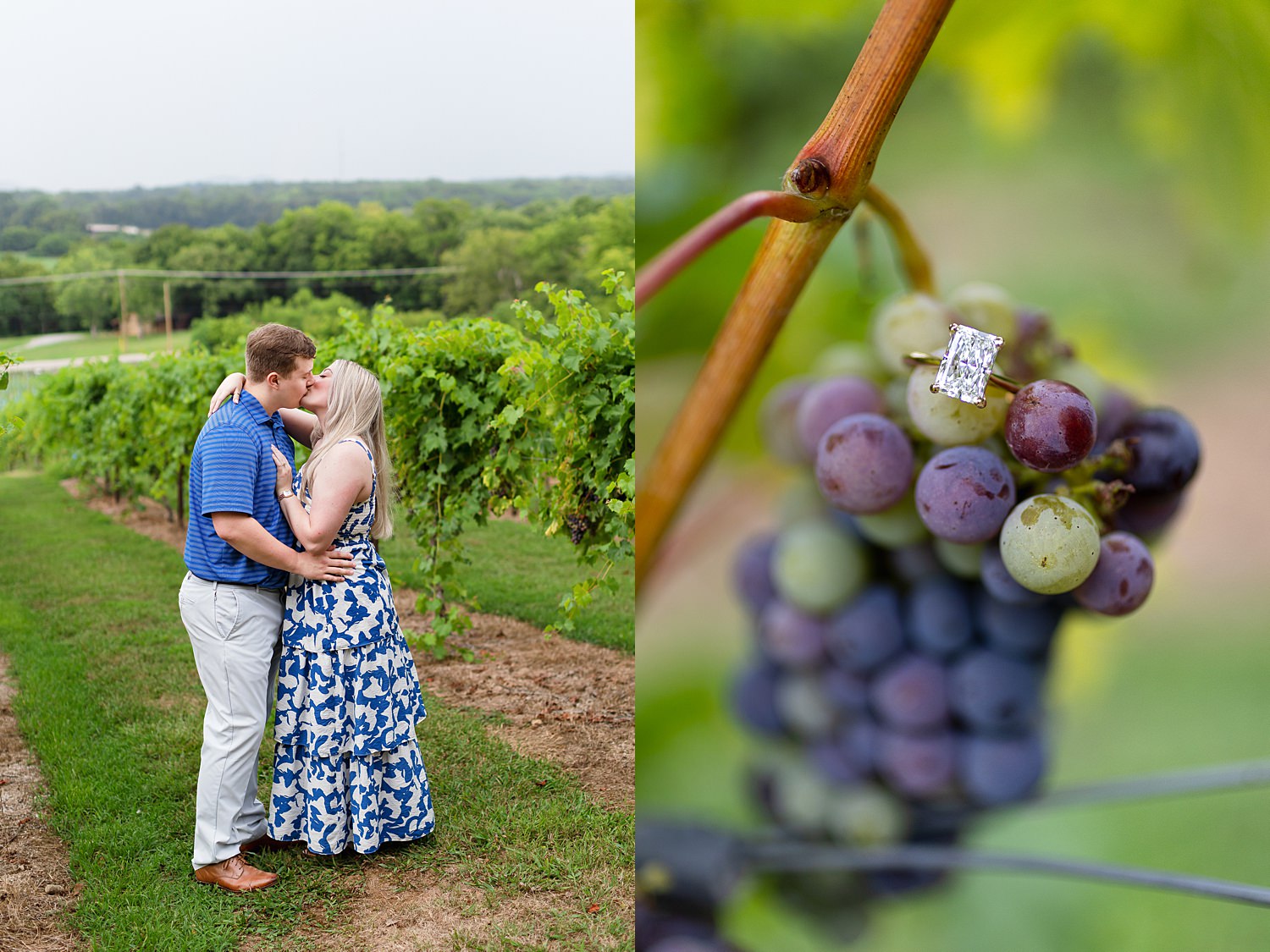 Arrington Vineyards Proposal