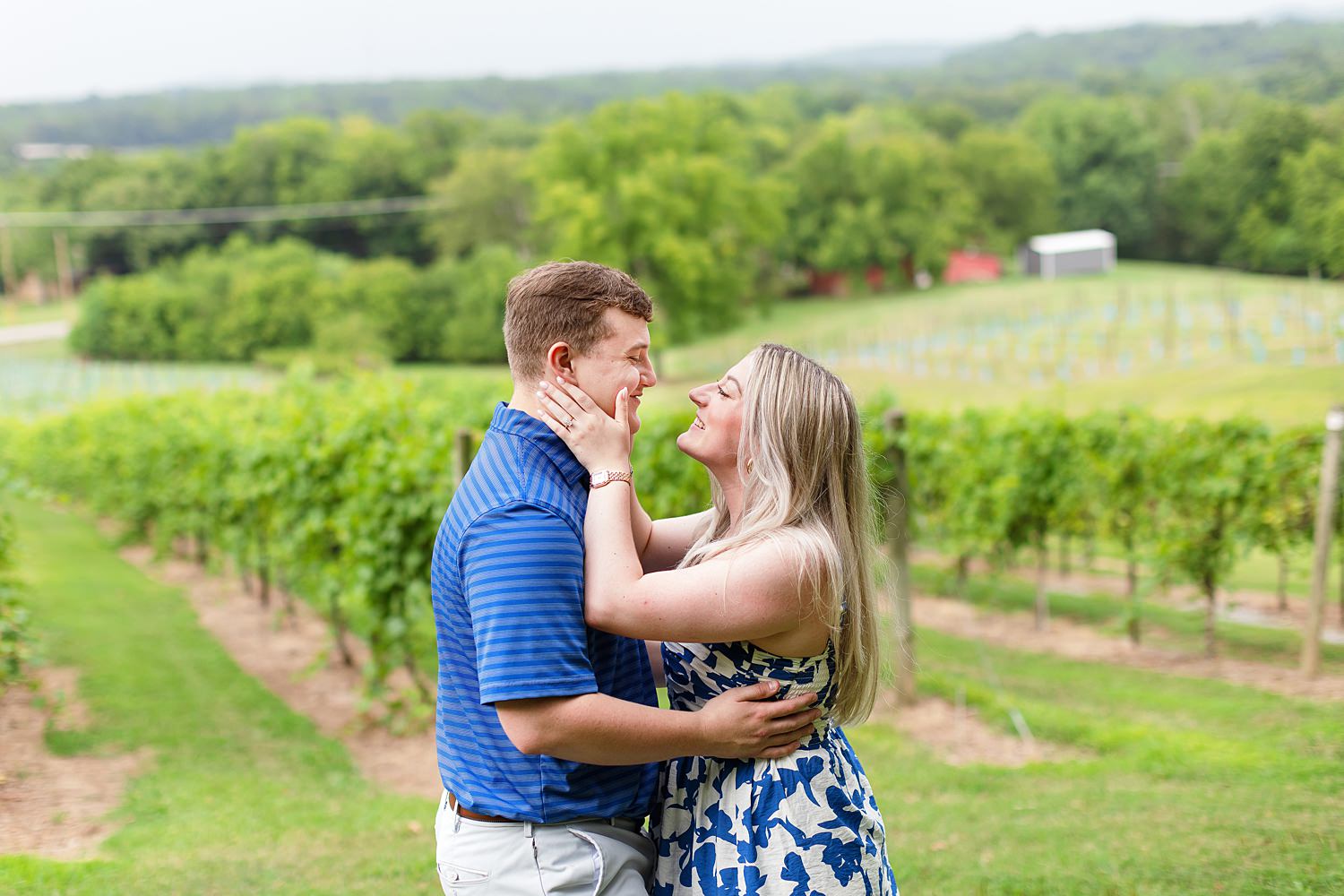 Arrington Vineyards Proposal